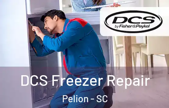  DCS Freezer Repair Pelion - SC