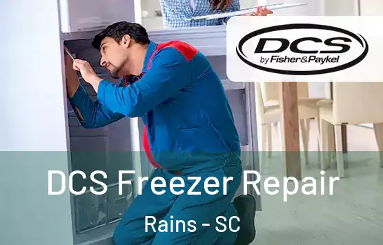  DCS Freezer Repair Rains - SC