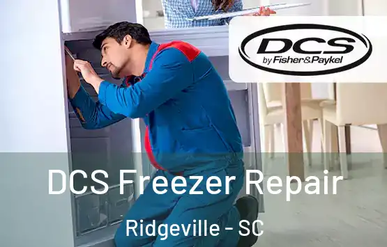  DCS Freezer Repair Ridgeville - SC