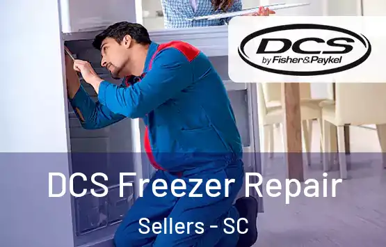  DCS Freezer Repair Sellers - SC