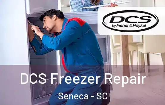  DCS Freezer Repair Seneca - SC