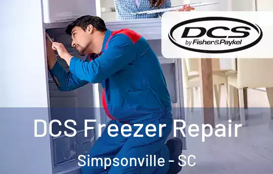  DCS Freezer Repair Simpsonville - SC