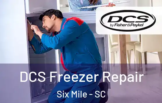  DCS Freezer Repair Six Mile - SC