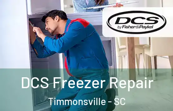  DCS Freezer Repair Timmonsville - SC