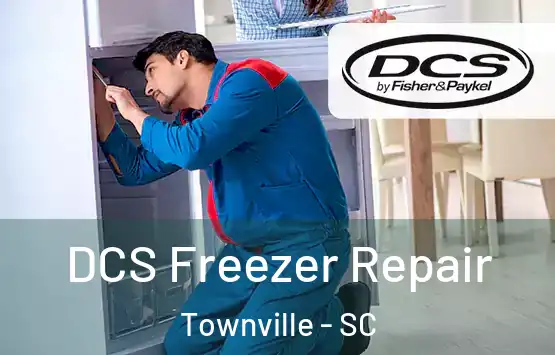  DCS Freezer Repair Townville - SC