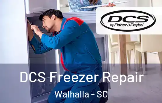  DCS Freezer Repair Walhalla - SC