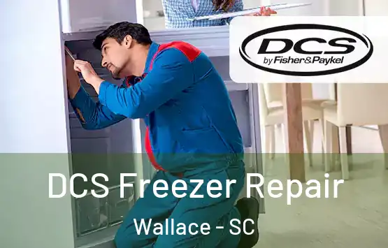  DCS Freezer Repair Wallace - SC