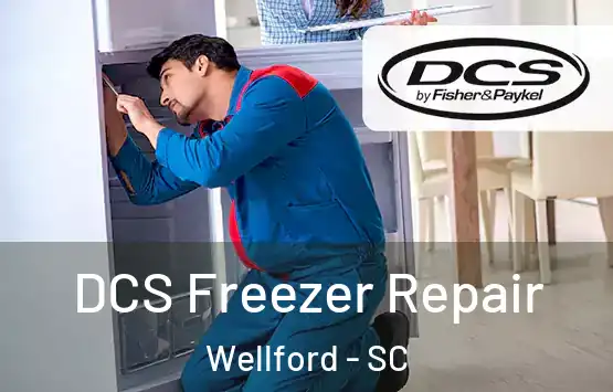  DCS Freezer Repair Wellford - SC