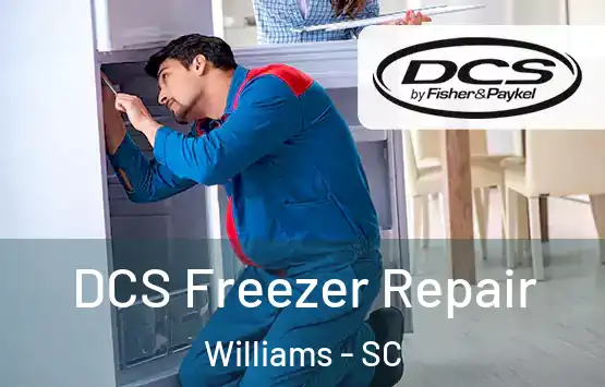  DCS Freezer Repair Williams - SC