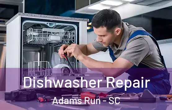  Dishwasher Repair Adams Run - SC