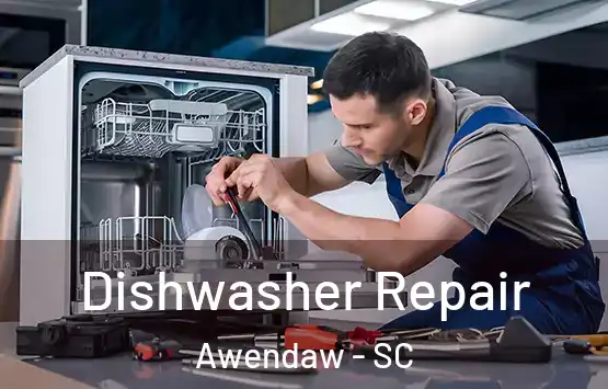  Dishwasher Repair Awendaw - SC