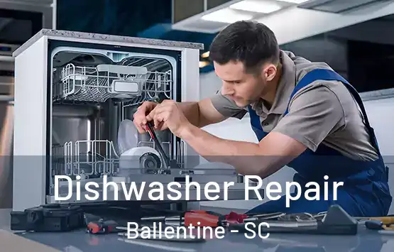  Dishwasher Repair Ballentine - SC