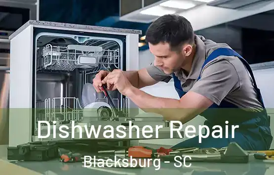  Dishwasher Repair Blacksburg - SC