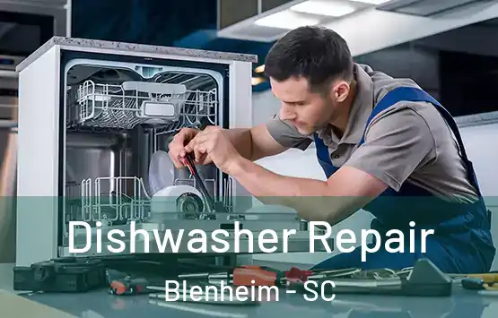  Dishwasher Repair Blenheim - SC