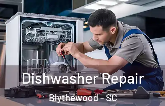  Dishwasher Repair Blythewood - SC
