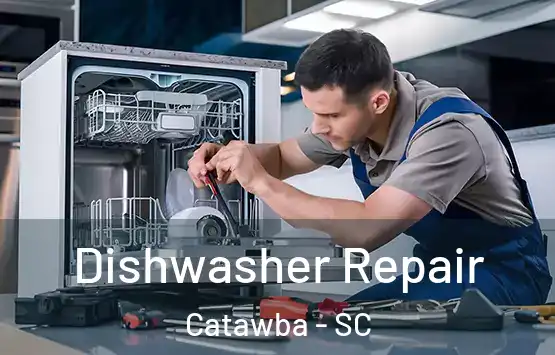  Dishwasher Repair Catawba - SC