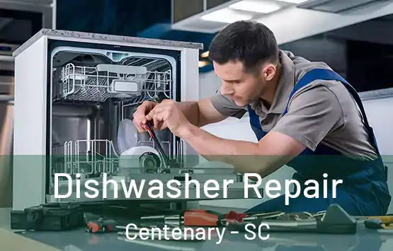  Dishwasher Repair Centenary - SC