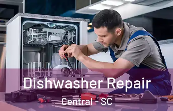  Dishwasher Repair Central - SC