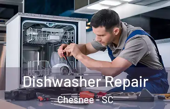  Dishwasher Repair Chesnee - SC