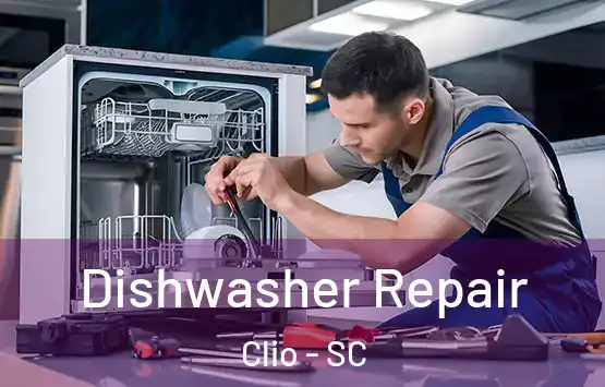  Dishwasher Repair Clio - SC