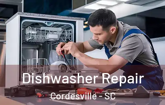  Dishwasher Repair Cordesville - SC