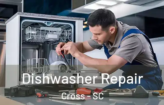  Dishwasher Repair Cross - SC