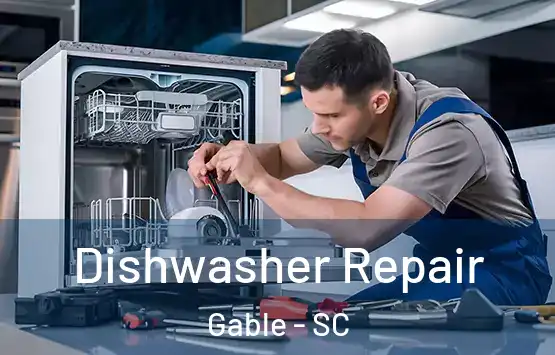 Dishwasher Repair Gable - SC