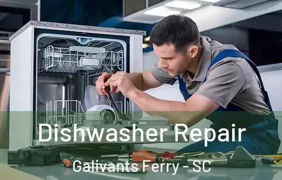  Dishwasher Repair Galivants Ferry - SC