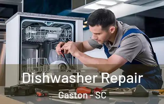  Dishwasher Repair Gaston - SC