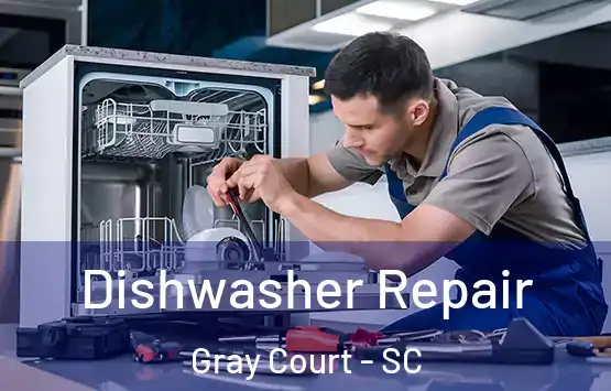  Dishwasher Repair Gray Court - SC
