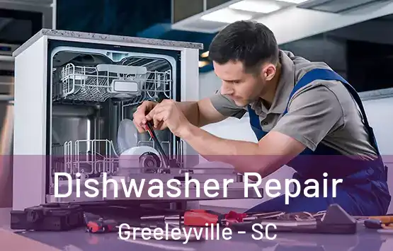  Dishwasher Repair Greeleyville - SC