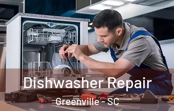  Dishwasher Repair Greenville - SC