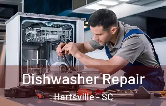  Dishwasher Repair Hartsville - SC