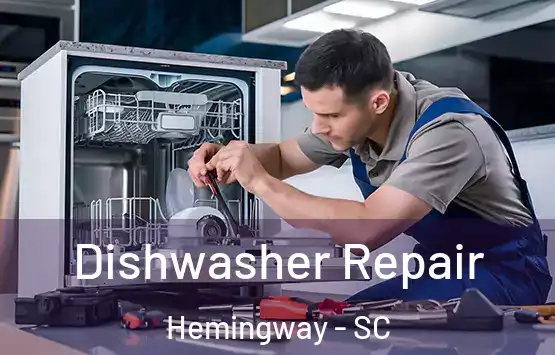  Dishwasher Repair Hemingway - SC