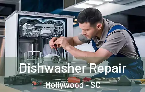  Dishwasher Repair Hollywood - SC