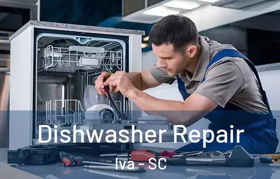  Dishwasher Repair Iva - SC