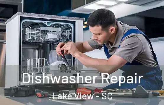  Dishwasher Repair Lake View - SC