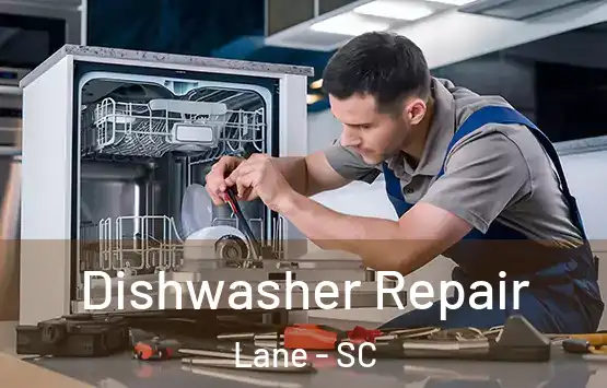  Dishwasher Repair Lane - SC