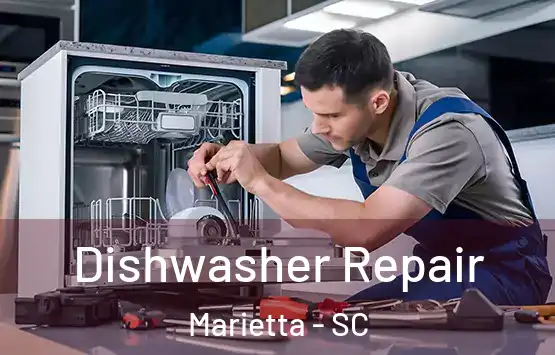  Dishwasher Repair Marietta - SC