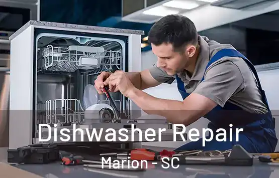  Dishwasher Repair Marion - SC