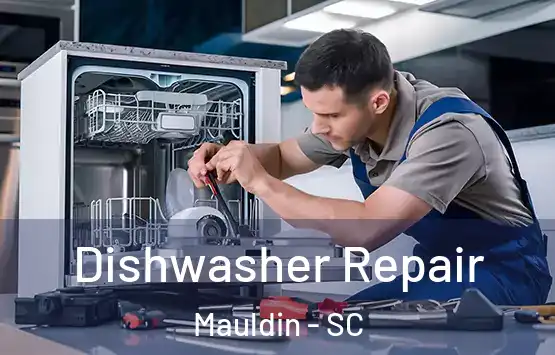  Dishwasher Repair Mauldin - SC