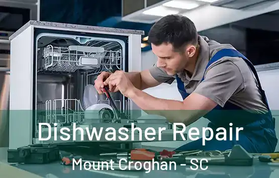  Dishwasher Repair Mount Croghan - SC