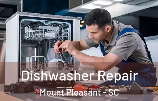  Dishwasher Repair Mount Pleasant - SC