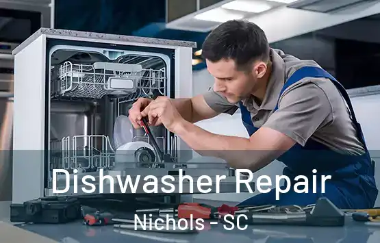  Dishwasher Repair Nichols - SC