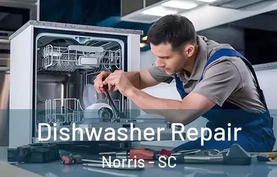  Dishwasher Repair Norris - SC