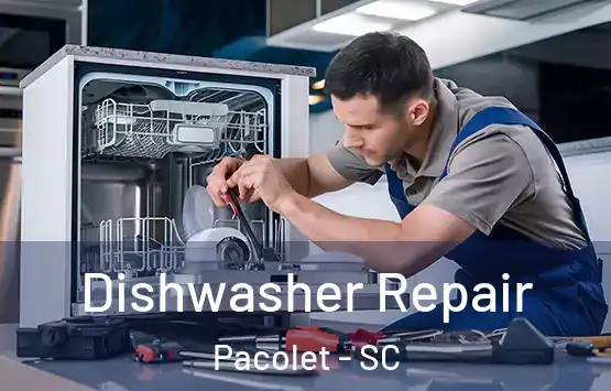  Dishwasher Repair Pacolet - SC