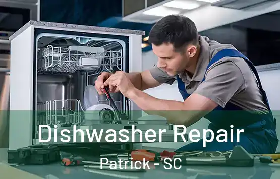  Dishwasher Repair Patrick - SC