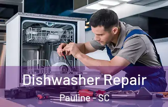  Dishwasher Repair Pauline - SC