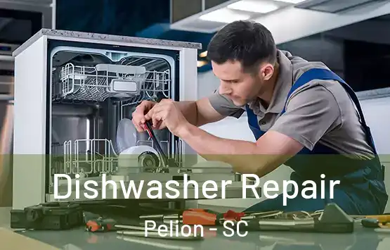  Dishwasher Repair Pelion - SC