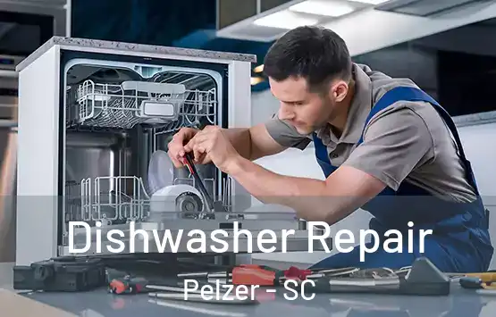  Dishwasher Repair Pelzer - SC